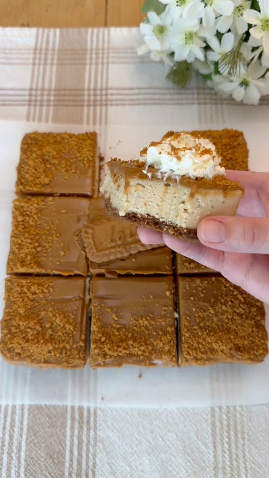 Cookie Butter Cheesecake Bars