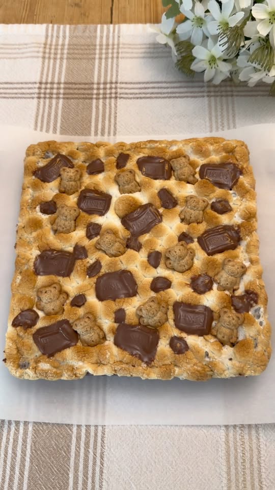 Fudgy S'Mores Brownies