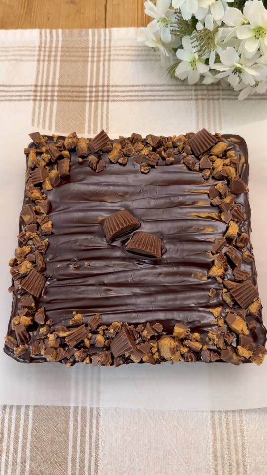 Chocolate Peanut Butter Cheesecake Bars