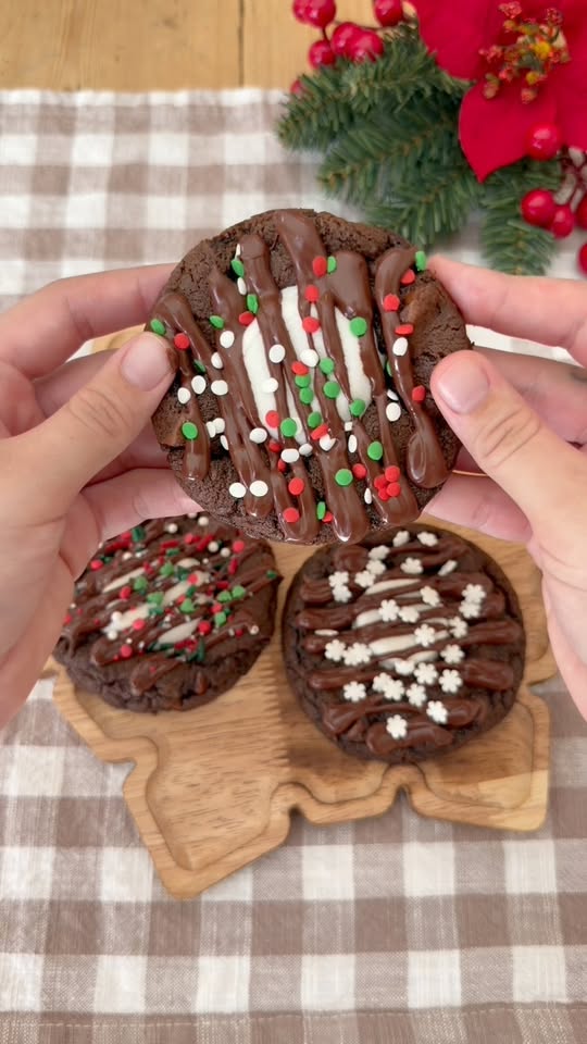 Hot Cocoa Cookies